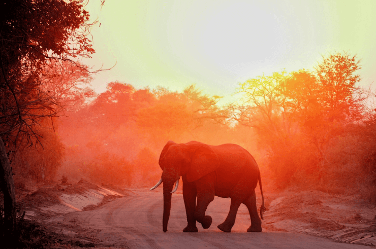 Malawi, Zambia & Botswana Small Group Tour