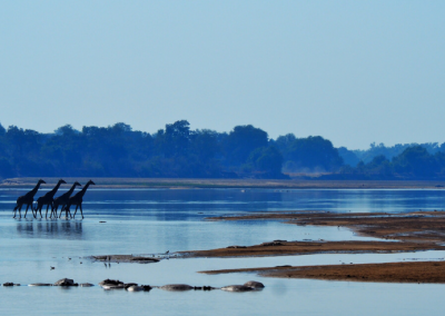 Malawi, Zambia & Botswana Tour