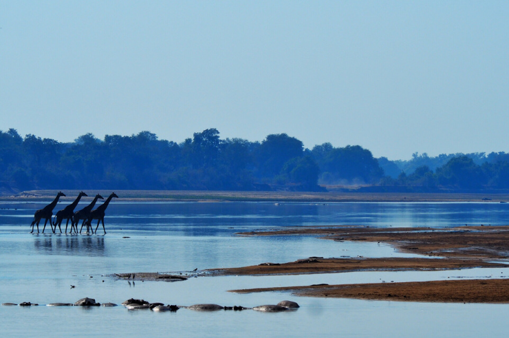 Malawi, Zambia & Botswana Tour