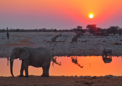 Backpacking Namibia Small Group Adventure Tour