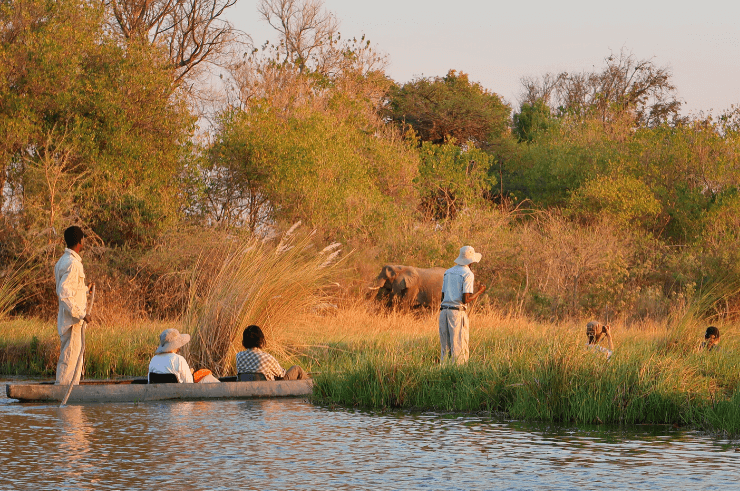 Okavango Delta Botswana Group Tour - Rock My Adventure