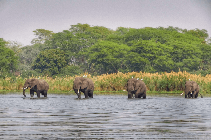 Makgadikgadi Pans National Park