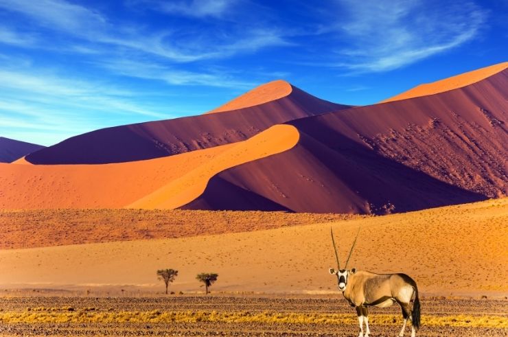 Namibia Group Tours