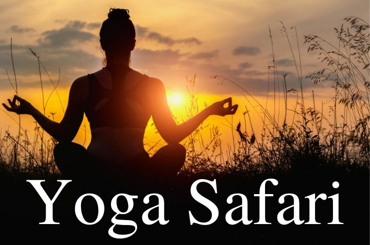 Yoga & Mindfulness Safari Retreat