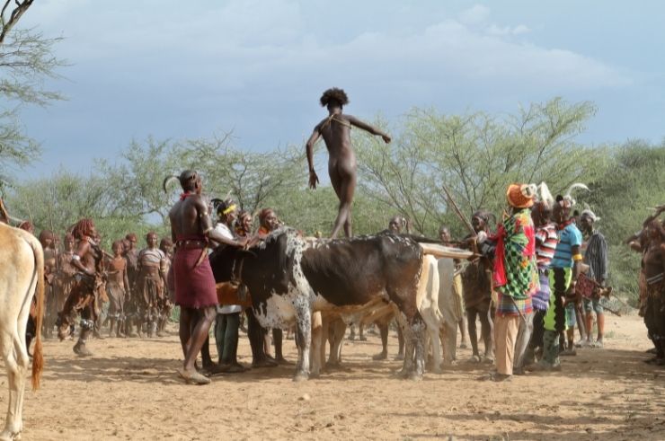 Bull Jumping Ceremony Ethiopia