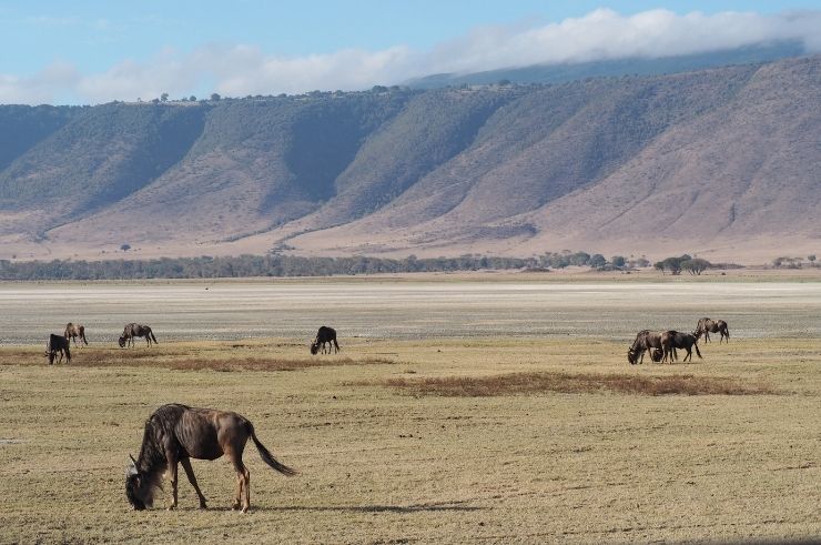 Ngorongoro Crater, Tanzania