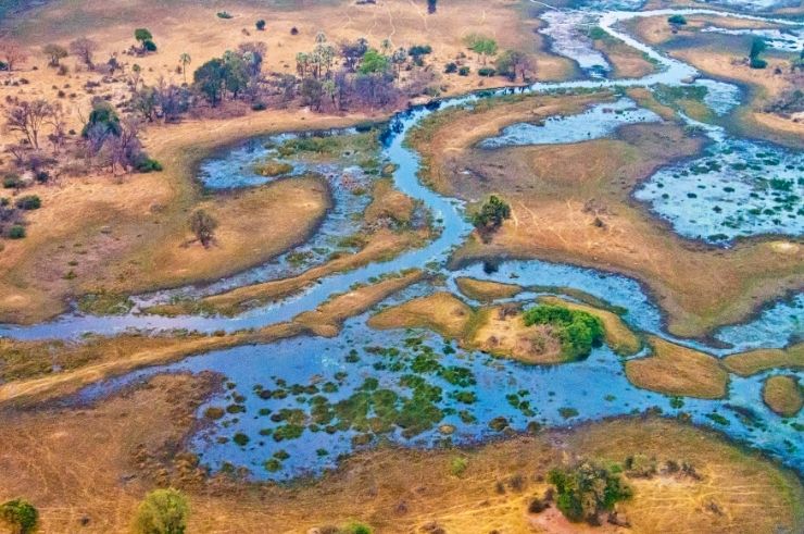 Okavango Delta Group Tour