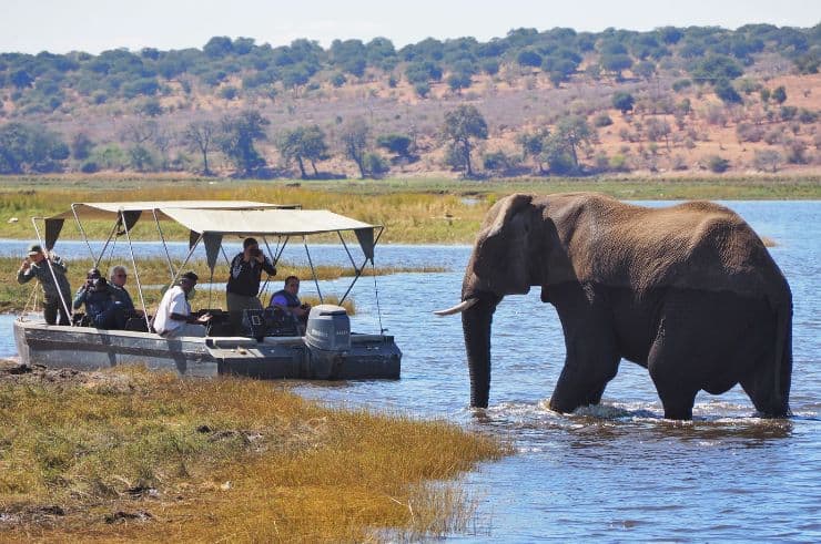 Rock My Adventure - Botswana