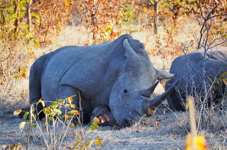 Namibia Group Tour Solo Travellers