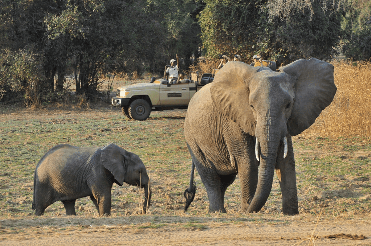 Okavango Delta Botswana Group Tour