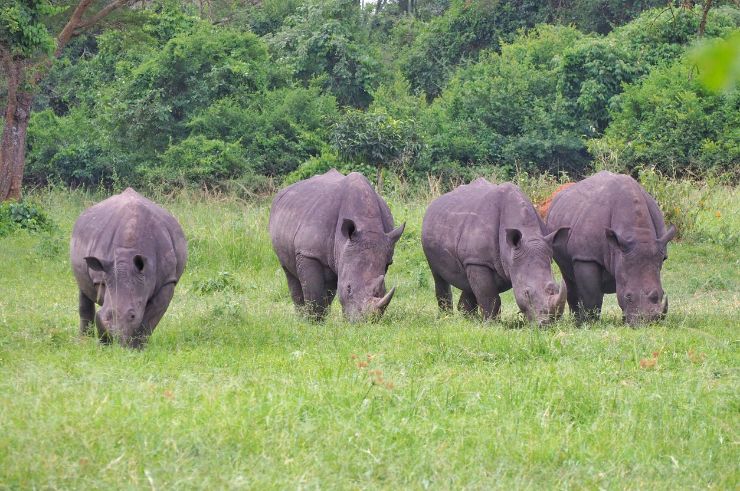 Ngorongoro Crater, Tanzania