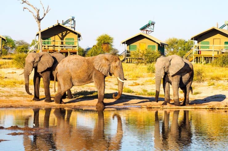 Elephant Sands Botswana