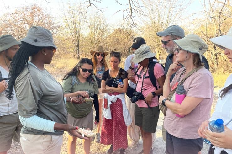 Planet Baobab Bushwalk