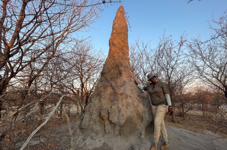 Planet Baobab Bushwalk