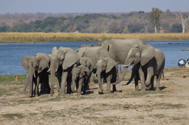 Botswana