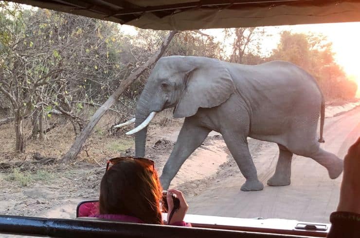 Okavango Delta Tour