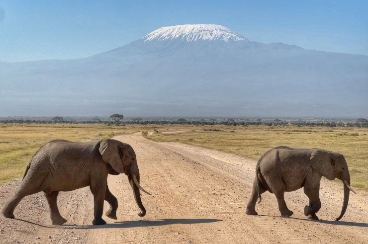 Amboseli Kenya