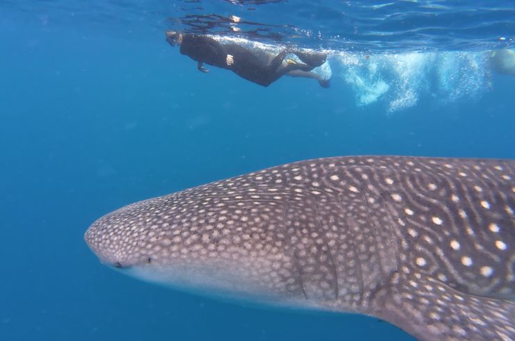 Aerial View of Stone Town, Zanzibar