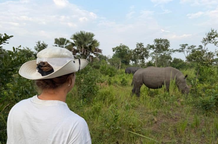 Rock My Adventure group watching a giraffe in Lake Mburo National Park, Uganda