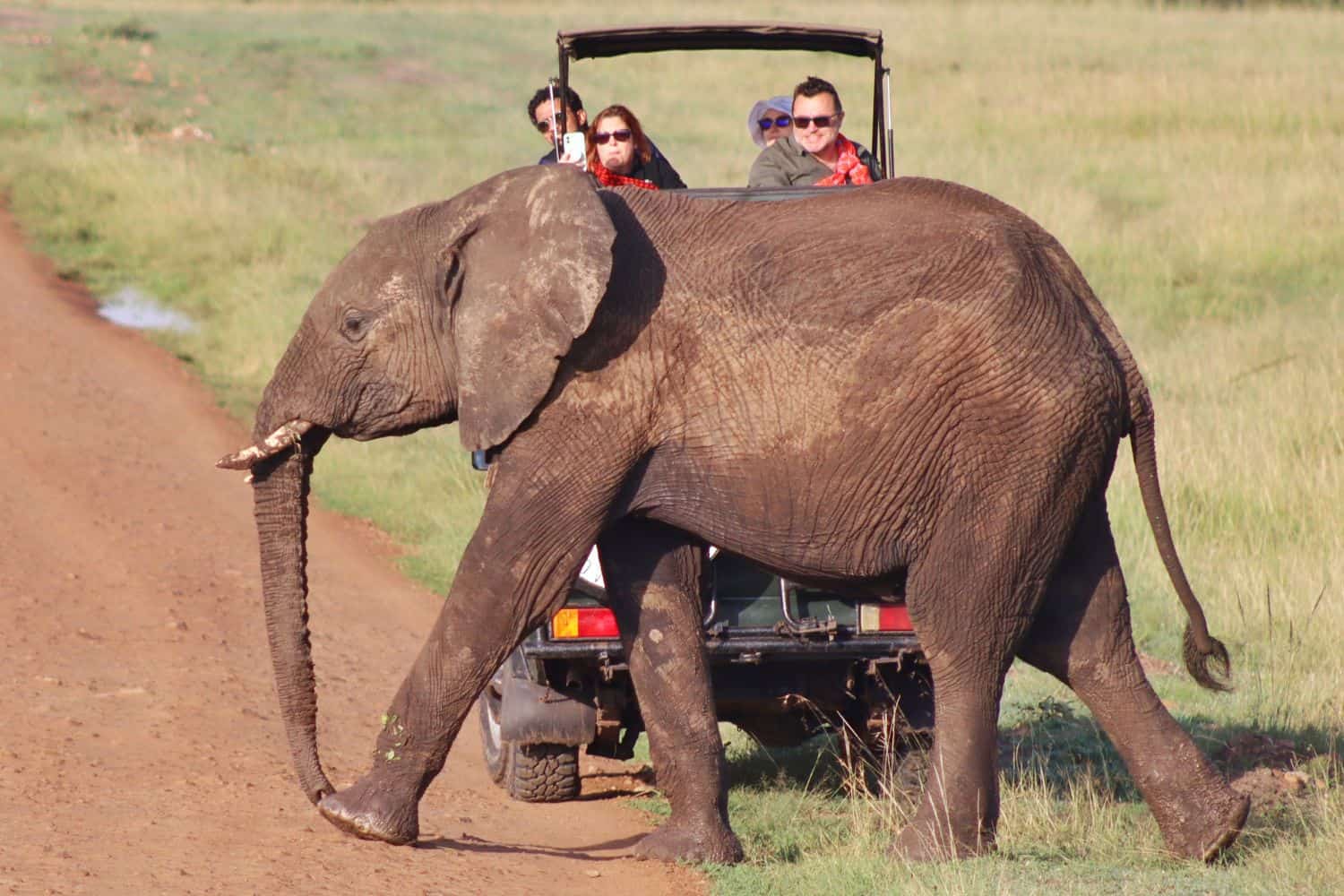 Kenya & Tanzania Tour Card (2) Kenya & Tanzania Group Tour